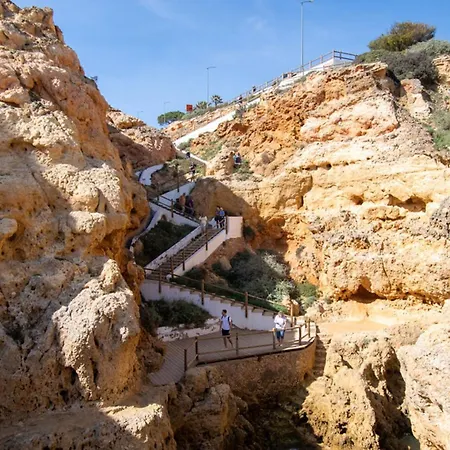 Apartment Jacks House - 5 Minutes From The *